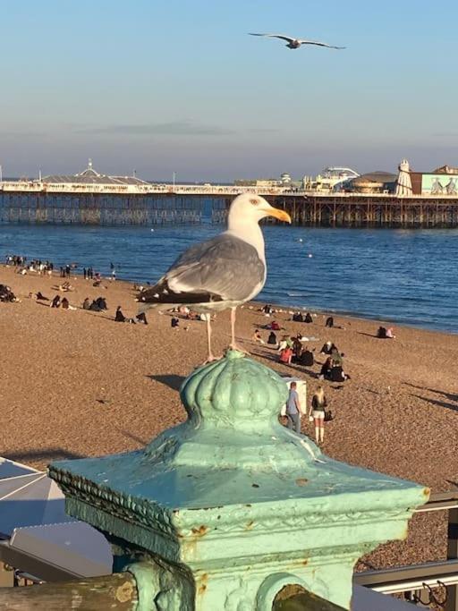 Regency Brighton Seafront Apartment Eksteriør billede